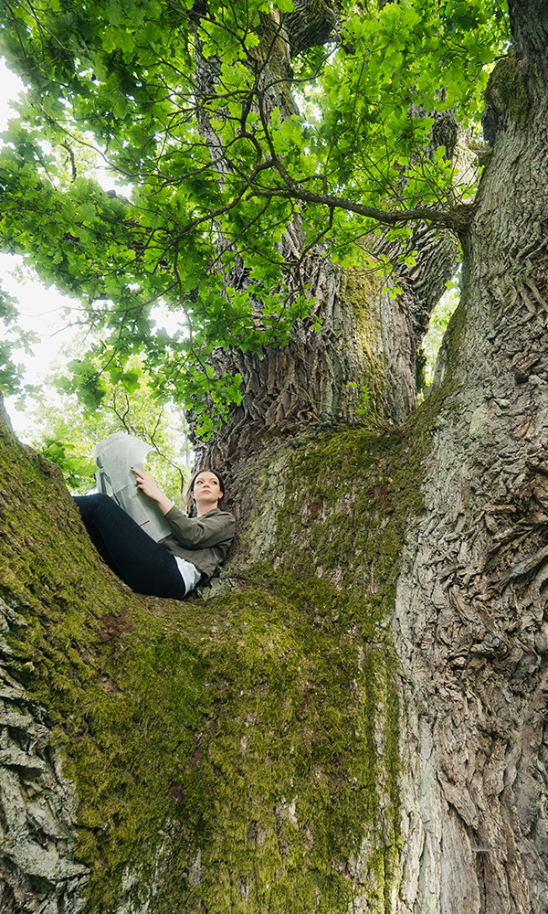 240521_AXXCON_Baum_1_Website_mobil