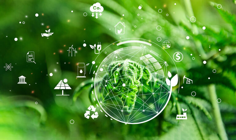 20250319_Website_Stadtwerke Energiewende_Beitragsbild