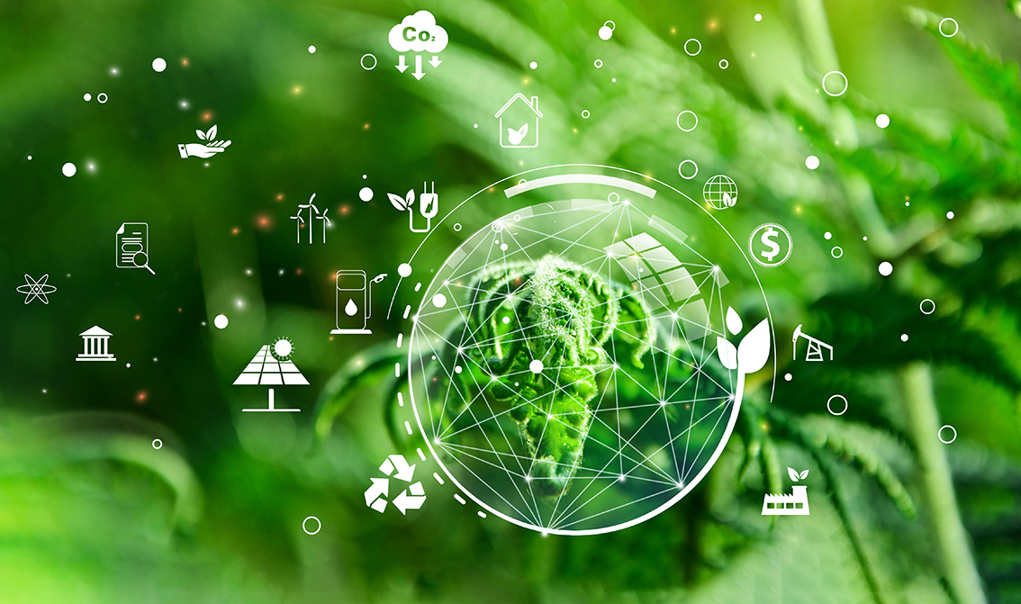 We make public utilities fit for the energy transition