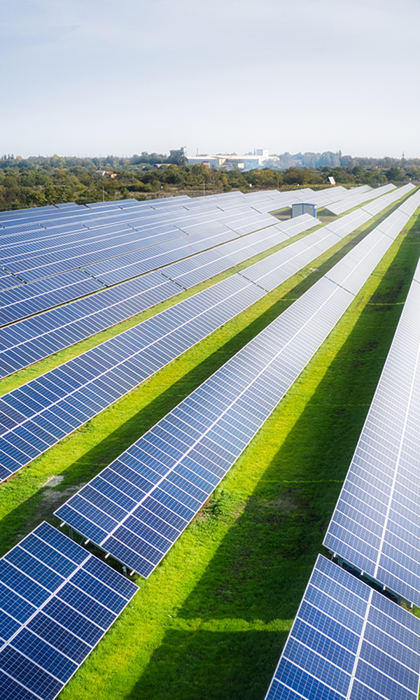 shutterstock_1888728391_mobil